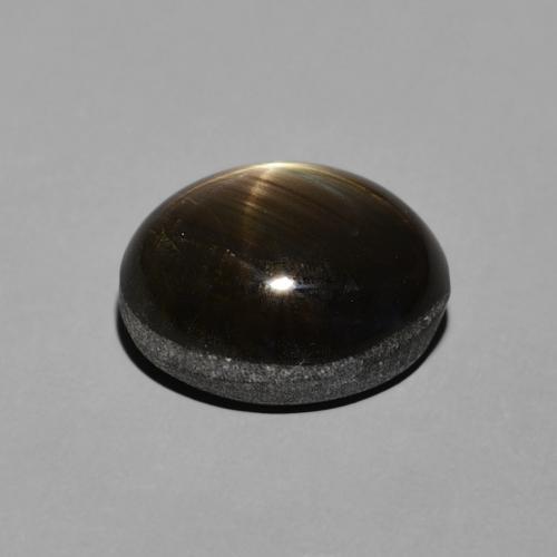 9,17 ctw natürlicher Schwarz Sternsaphir, Oval, Lichtundurchlässig
