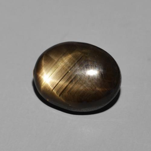 9,17 ctw natürlicher Schwarz Sternsaphir, Oval, Lichtundurchlässig
