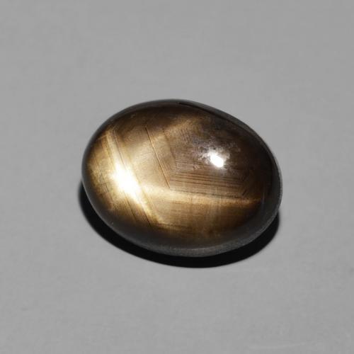 9,17 ctw natürlicher Schwarz Sternsaphir, Oval, Lichtundurchlässig