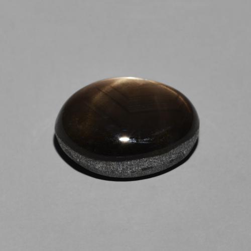 9,17 ctw natürlicher Schwarz Sternsaphir, Oval, Lichtundurchlässig