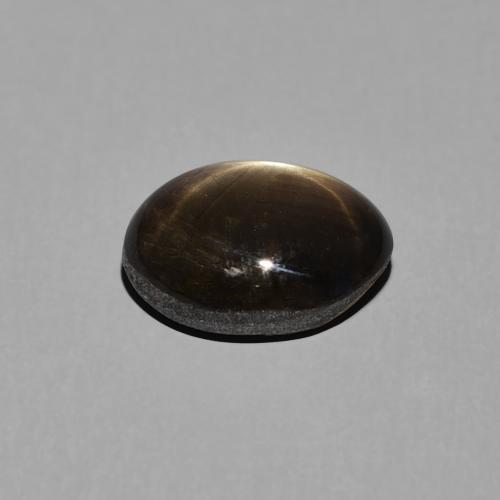9,17 ctw natürlicher Schwarz Sternsaphir, Oval, Lichtundurchlässig