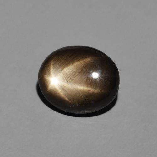 9,17 ctw natürlicher Schwarz Sternsaphir, Oval, Lichtundurchlässig