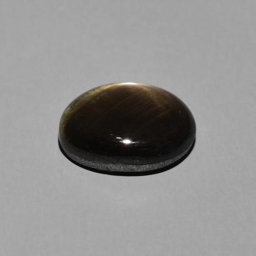 9,17 ctw natürlicher Schwarz Sternsaphir, Oval, Lichtundurchlässig