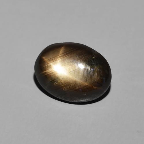 9,17 ctw natürlicher Schwarz Sternsaphir, Oval, Lichtundurchlässig