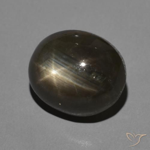 9,17 ctw natürlicher Schwarz Sternsaphir, Oval, Lichtundurchlässig