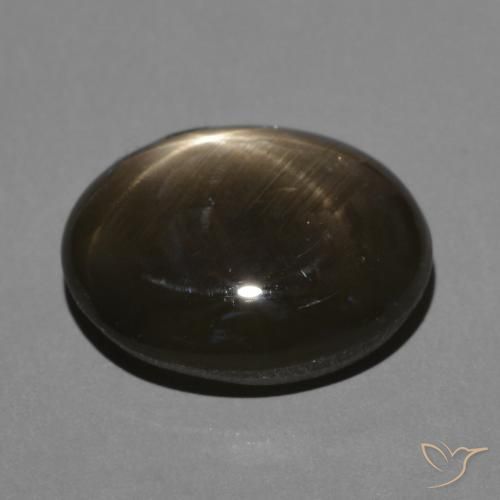9,17 ctw natürlicher Schwarz Sternsaphir, Oval, Lichtundurchlässig