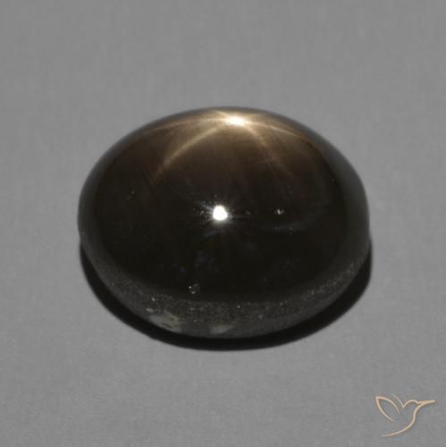 9,17 ctw natürlicher Schwarz Sternsaphir, Oval, Lichtundurchlässig