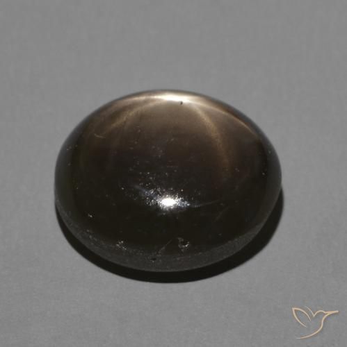 9,17 ctw natürlicher Schwarz Sternsaphir, Oval, Lichtundurchlässig