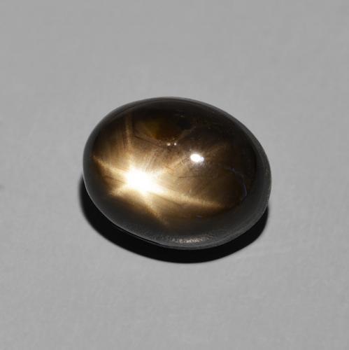 9,17 ctw natürlicher Schwarz Sternsaphir, Oval, Lichtundurchlässig