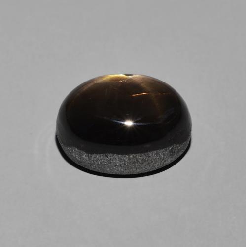 9,17 ctw natürlicher Schwarz Sternsaphir, Oval, Lichtundurchlässig