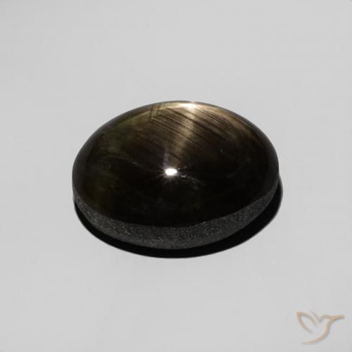 9,17 ctw natürlicher Schwarz Sternsaphir, Oval, Lichtundurchlässig