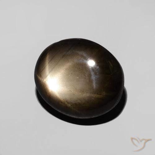 9,17 ctw natürlicher Schwarz Sternsaphir, Oval, Lichtundurchlässig
