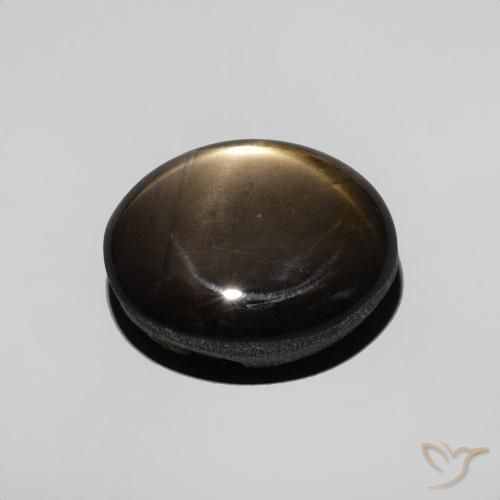 9,17 ctw natürlicher Schwarz Sternsaphir, Oval, Lichtundurchlässig