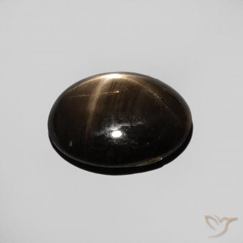9,17 ctw natürlicher Schwarz Sternsaphir, Oval, Lichtundurchlässig