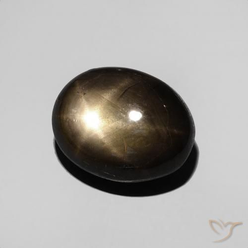 9,17 ctw natürlicher Schwarz Sternsaphir, Oval, Lichtundurchlässig