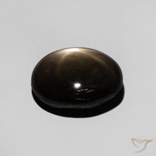 9,17 ctw natürlicher Schwarz Sternsaphir, Oval, Lichtundurchlässig
