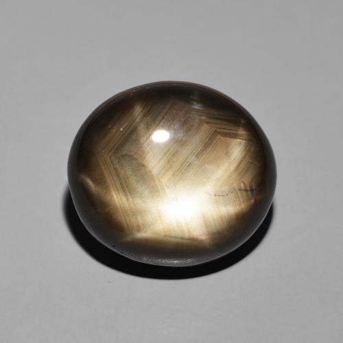 19.55ct Natürlicher Schwarz Sternsaphir, Oval, Lichtundurchlässig