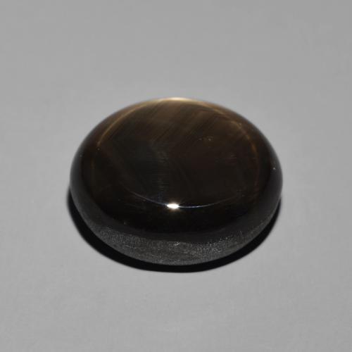 9,17 ctw natürlicher Schwarz Sternsaphir, Oval, Lichtundurchlässig