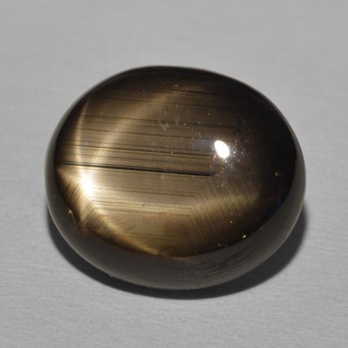 9,17 ctw natürlicher Schwarz Sternsaphir, Oval, Lichtundurchlässig