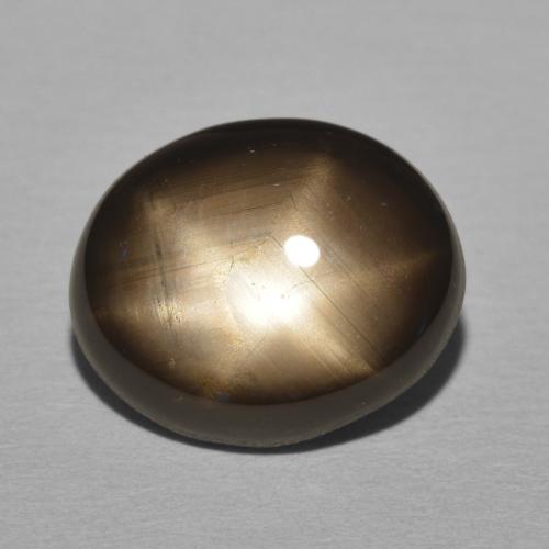 11.05ct Natürlicher Schwarz Sternsaphir, Oval, Lichtundurchlässig