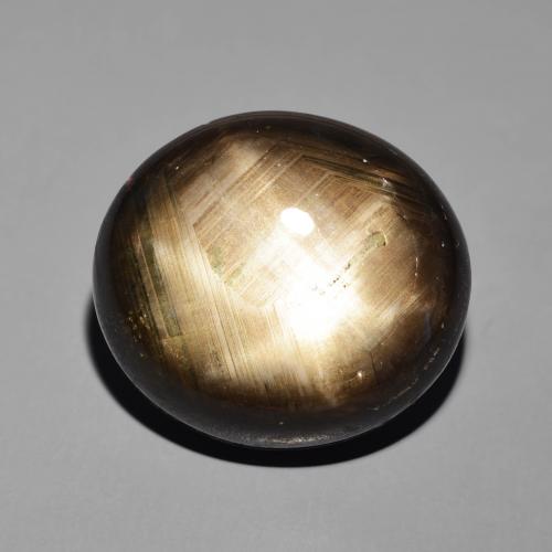41.19ct Natürlicher Schwarz Sternsaphir, Oval, Lichtundurchlässig