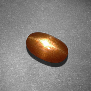 1,53 ctw natürlicher brauner Stern-Sonnenstein, Oval Schliff, Lichtundurchlässig