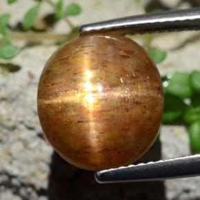 9,17 ctw natürlicher gold-braun Stern-Sonnenstein, Oval Schliff, Lichtundurchlässig