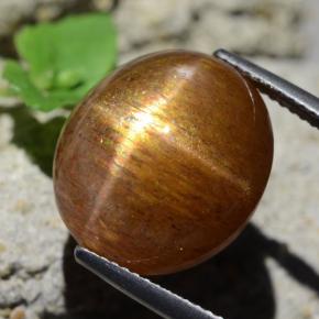9,17 ctw natürlicher gold-braun Sternsonnenstein, Oval Schliff, Lichtundurchlässig