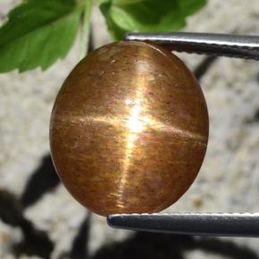 12,64 ctw natürlicher brauner Stern-Sonnenstein, Oval Schliff, Lichtundurchlässig