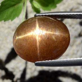 12,64 ctw natürlicher brauner Stern-Sonnenstein, Oval Schliff, Lichtundurchlässig