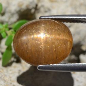 9,17 ctw natürlicher Mittel braun Stern-Sonnenstein, Oval Schliff, Lichtundurchlässig