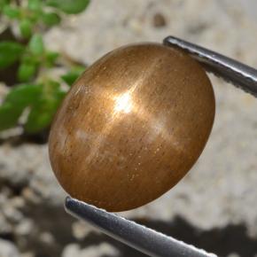 9,17 ctw natürlicher gold-braun Sternsonnenstein, Oval Schliff, Lichtundurchlässig