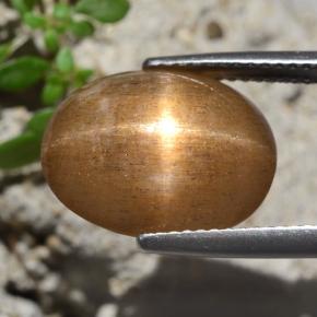 9,17 ctw natürlicher gold-braun Sternsonnenstein, Oval Schliff, Lichtundurchlässig