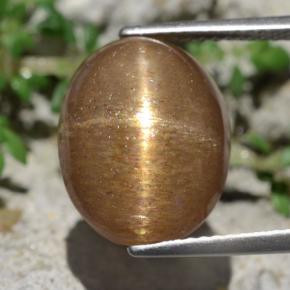 10,14 ctw natürlicher brauner Stern-Sonnenstein, Oval Schliff, Lichtundurchlässig