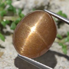 10,14 ctw natürlicher brauner Stern-Sonnenstein, Oval Schliff, Lichtundurchlässig