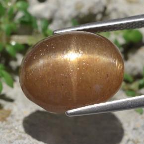 10,14 ctw natürlicher brauner Stern-Sonnenstein, Oval Schliff, Lichtundurchlässig