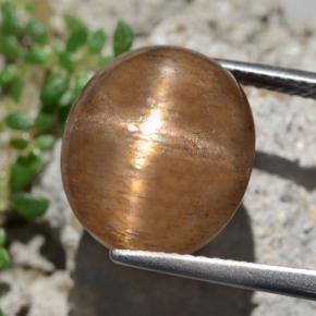 9,50 ctw natürlicher brauner Stern-Sonnenstein, Oval Schliff, Lichtundurchlässig