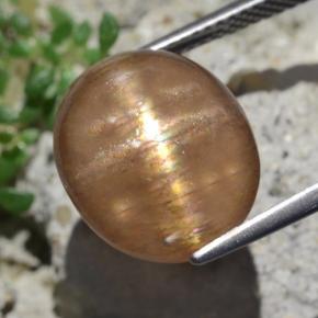 9,50 ctw natürlicher brauner Stern-Sonnenstein, Oval Schliff, Lichtundurchlässig