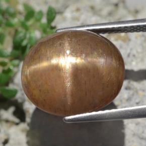 9,50 ctw natürlicher brauner Stern-Sonnenstein, Oval Schliff, Lichtundurchlässig