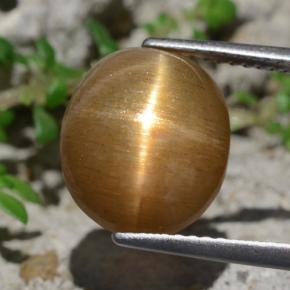 6,94 ctw natürlicher brauner Stern-Sonnenstein, Oval Schliff, Lichtundurchlässig