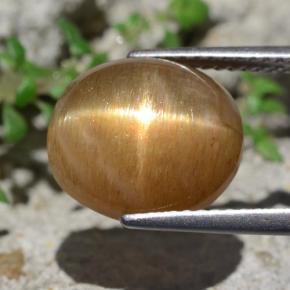 6,94 ctw natürlicher brauner Stern-Sonnenstein, Oval Schliff, Lichtundurchlässig