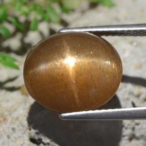 9,17 ctw natürlicher Mittel-Hellbraun Sternsonnenstein, Oval Schliff, Lichtundurchlässig
