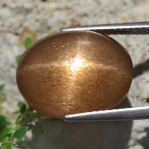 9,17 ctw natürlicher gold-braun Sternsonnenstein, Oval Schliff, Lichtundurchlässig