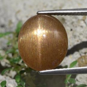 9,17 ctw natürlicher gold-braun Stern-Sonnenstein, Oval Schliff, Lichtundurchlässig