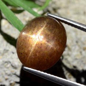 9,17 ctw natürlicher gold-braun Sternsonnenstein, Oval Schliff, Lichtundurchlässig