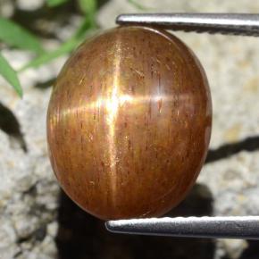 9,17 ctw natürlicher gold-braun Sternsonnenstein, Oval Schliff, Lichtundurchlässig