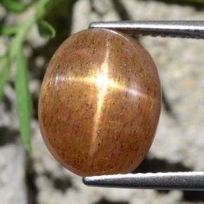 9,17 ctw natürlicher gold-braun Sternsonnenstein, Oval Schliff, Lichtundurchlässig