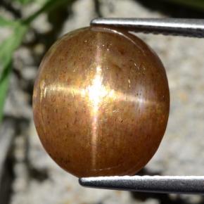 9,17 ctw natürlicher gold-braun Sternsonnenstein, Oval Schliff, Lichtundurchlässig