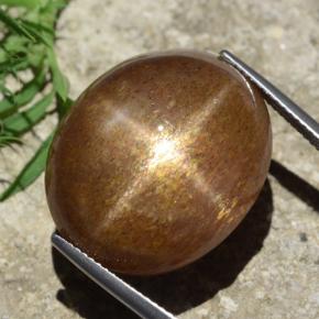 9,17 ctw natürlicher gold-braun Stern-Sonnenstein, Oval Schliff, Lichtundurchlässig