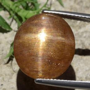 9,17 ctw natürlicher gold-braun Sternsonnenstein, Oval Schliff, Lichtundurchlässig
